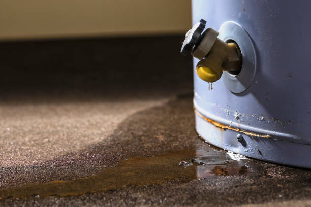 Best 24-hour water damage restoration  in Lmerton, PA