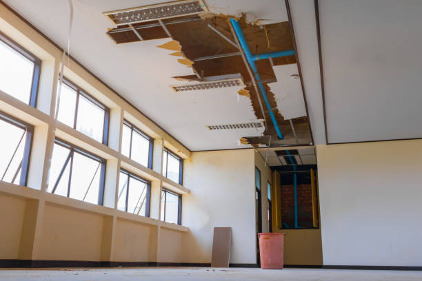 Best Water damage restoration mold remediation  in Lmerton, PA