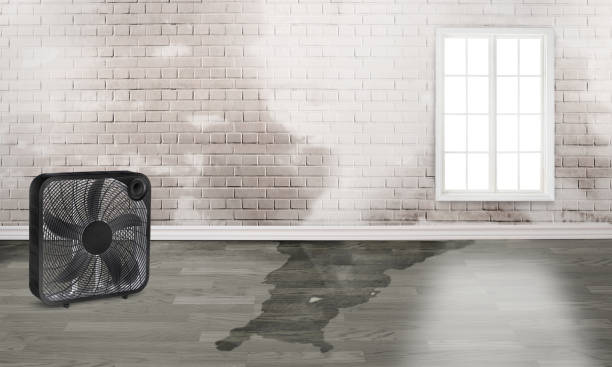 Professional Water damage restoration in PA