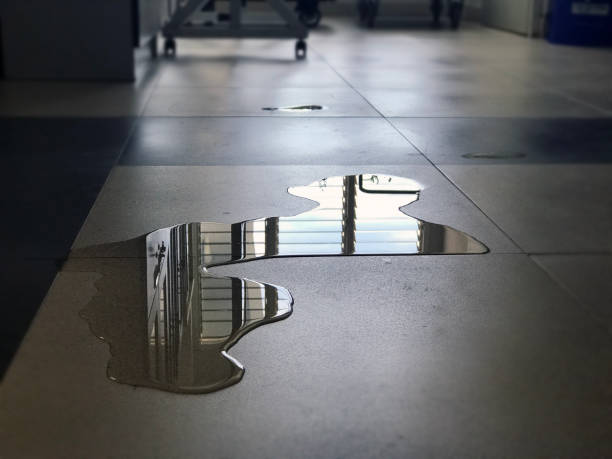 Best Water damage mitigation services  in Lmerton, PA