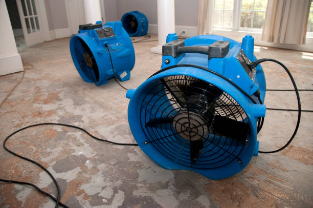 Best Water damage restoration specialists  in Lmerton, PA