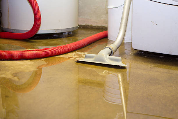 Best Fire Damage Restoration  in Lmerton, PA