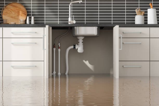 Best Residential water damage restoration  in Lmerton, PA