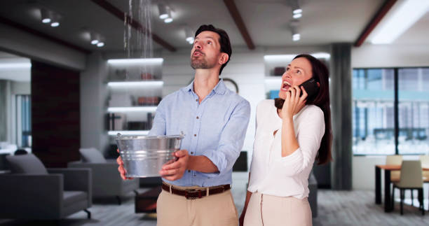  Lmerton, PA Water damage restoration Pros