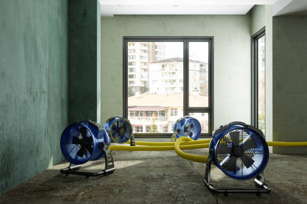 Best Commercial water damage restoration  in Lmerton, PA