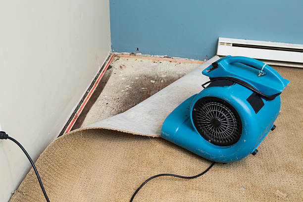 Best Flooded house restoration  in Lmerton, PA